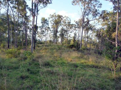 Kandanga Creek