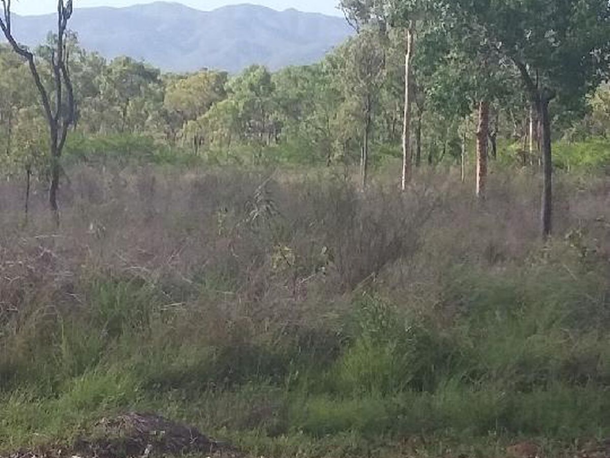 Lot 24, Peninsular Development Rd, Lakeland