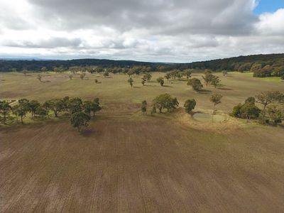 2E Hines Lane, Gordon