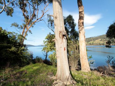 7161 Channel Highway, Gardners Bay