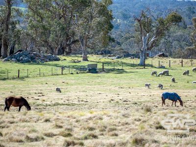 1651 Shannon Vale Road, Shannon Vale