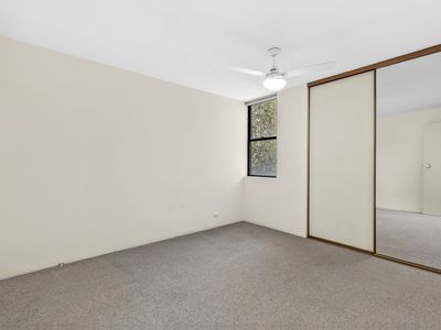 3 / 71 Macquarie Street, St Lucia