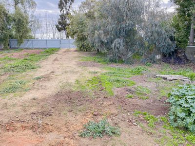 14 Whiter Street, Murrabit