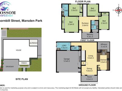20 Thornbill Street, Marsden Park