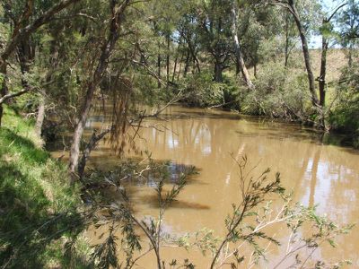Mole River Road, Tenterfield