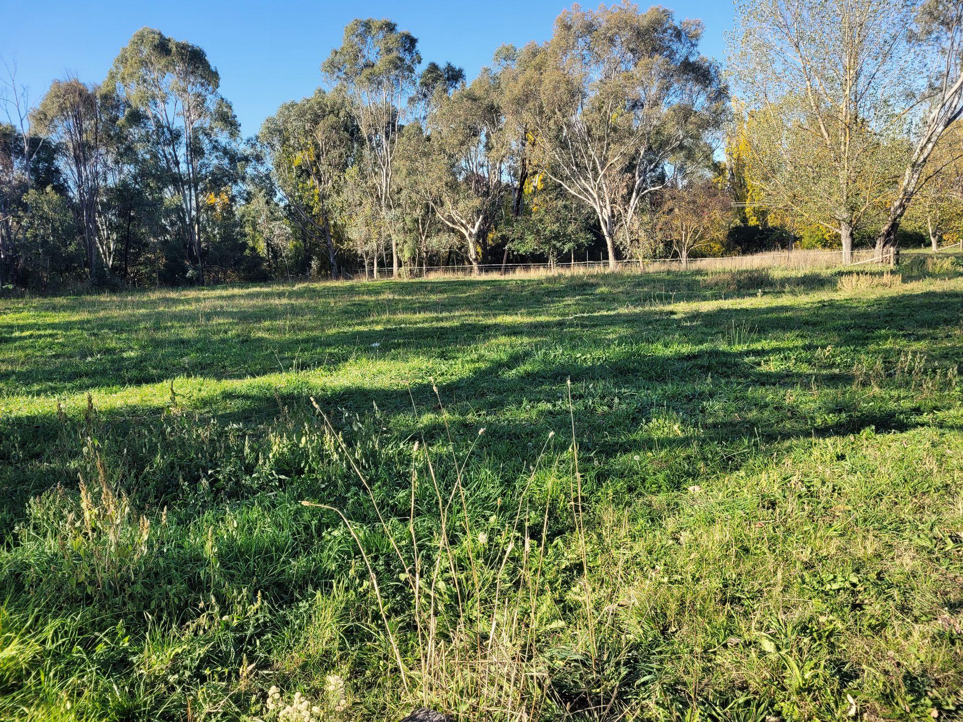 5 Rowe Street, Mansfield