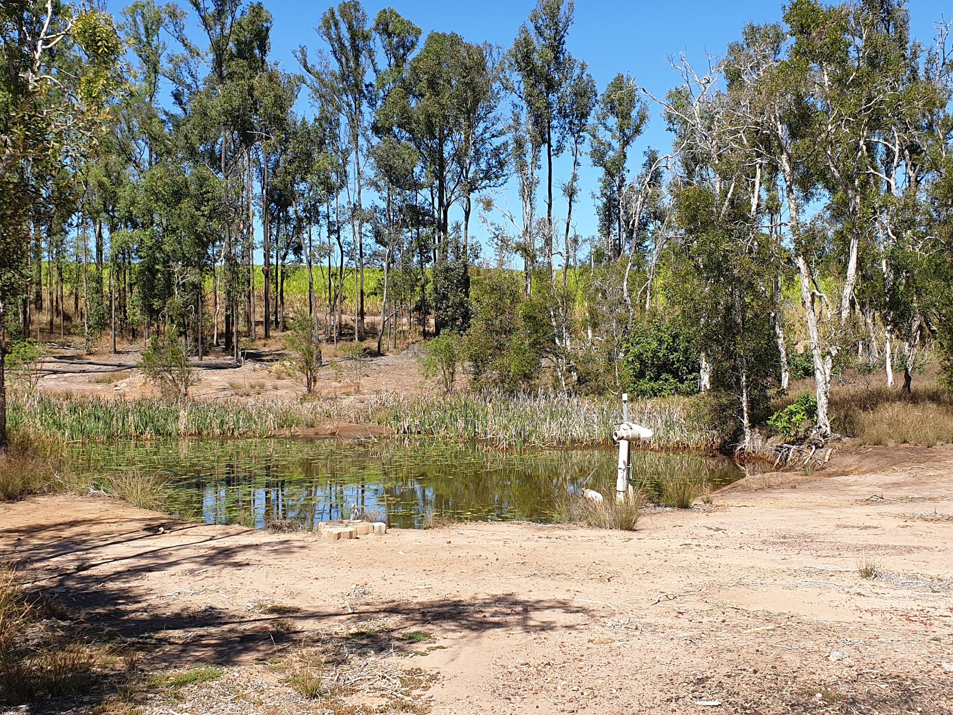 74 Jacobsens Rd, Yerra