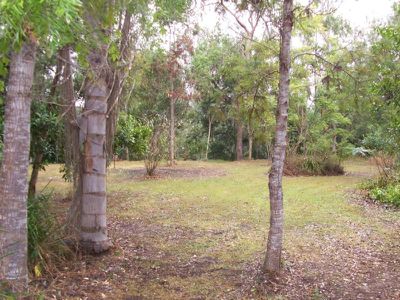 Maleny