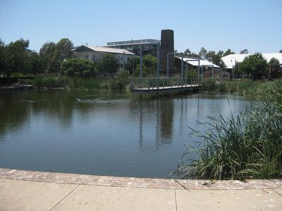 8 / 2 Dressler Court, Merrylands