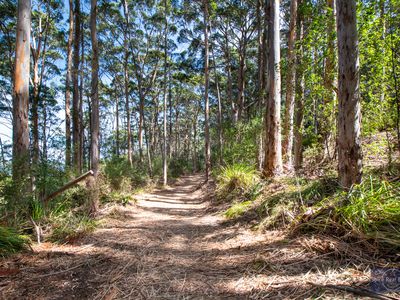 10 Payne Road, Denmark