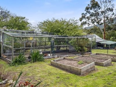104 Judds Creek Road, Judbury