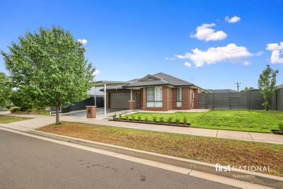 41 Myrl Street, Tamworth