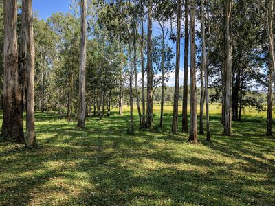 226 Rolley Road, Wondecla