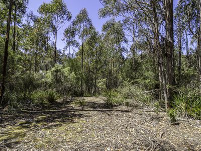 Lot 1  Jager Road, Southport