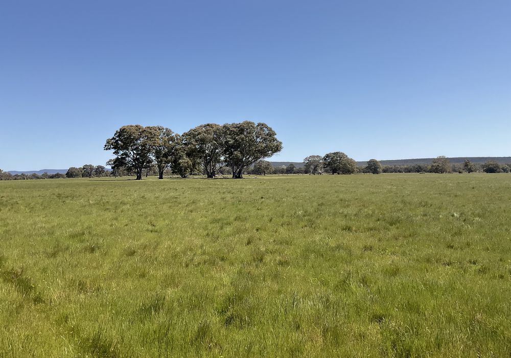 399 Henty Highway, Brimpaen