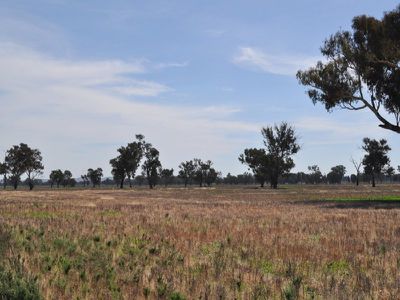 Wagga Wagga Road, Holbrook