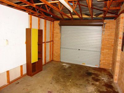 Mount Warrigal