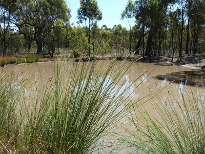 Lot 10 Heathcote-Rochester Road, Cornella