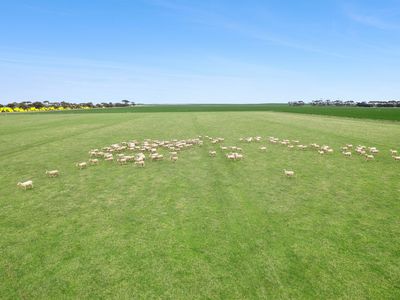 1218 Lower Darlington Road, Lismore