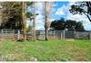 572 Spring Hill Road, Forest Reefs