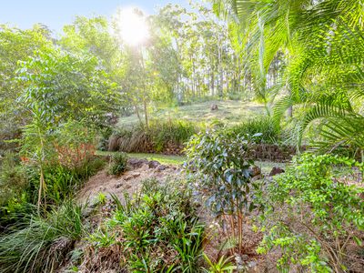 45 Redwood Road, Doonan