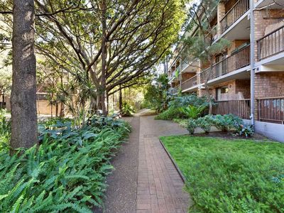 20 / 313 Harris , Pyrmont