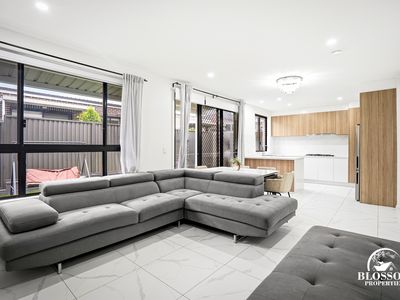 5 Cribbin Street, Marsden Park