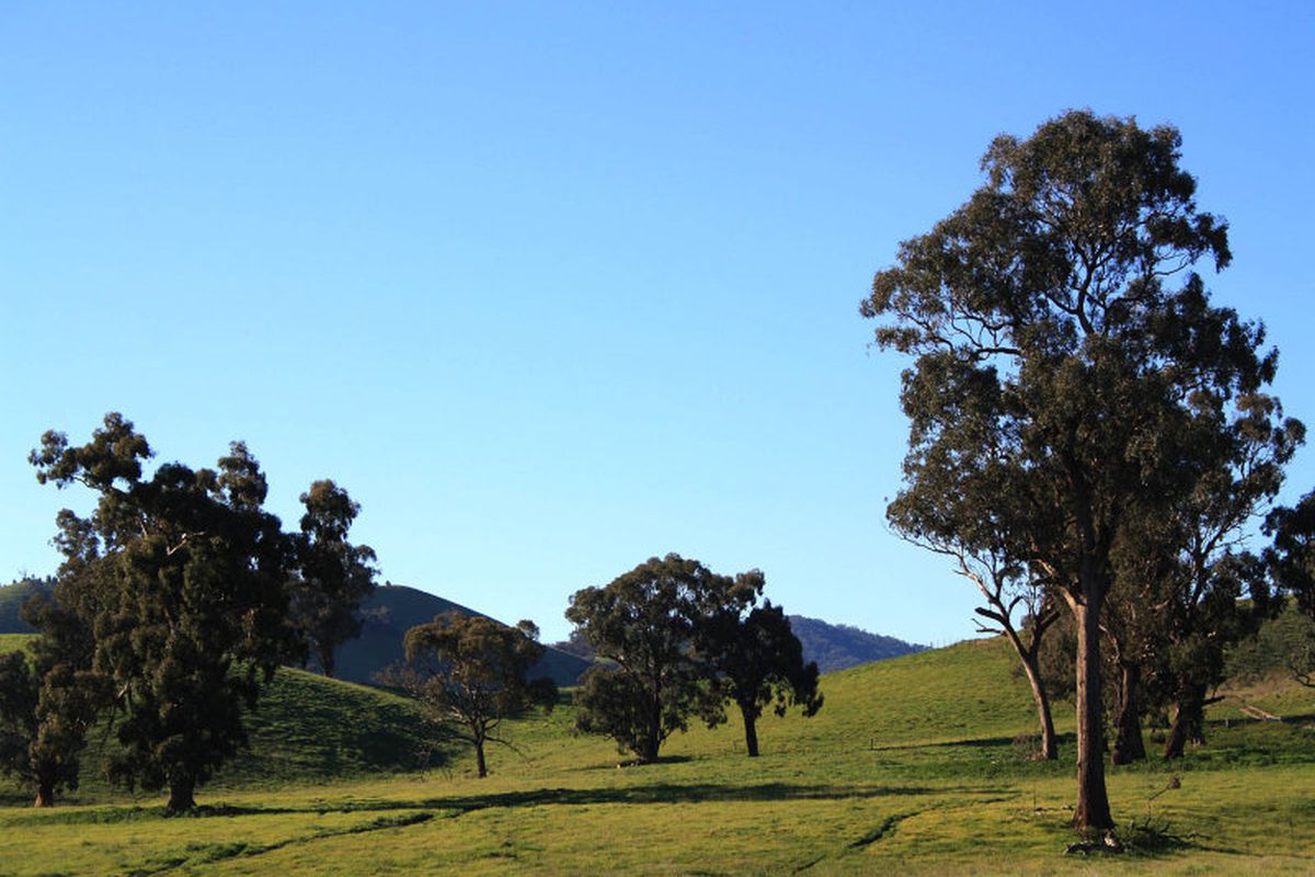 Lot 8, Glenview Park, Glen Creek Road, Mansfield