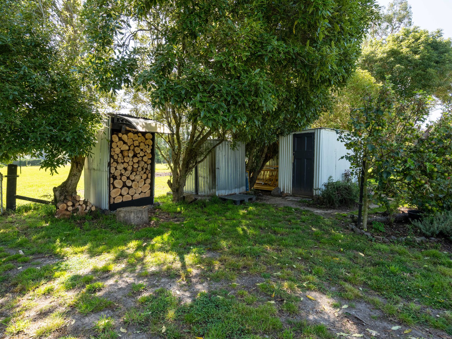 907 Tuapeka Mouth Road, Tuapeka Mouth