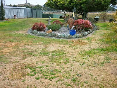 41 Ogilvy St, Blayney