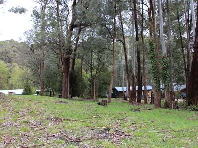 40 Rosella Street, Sawmill Settlement