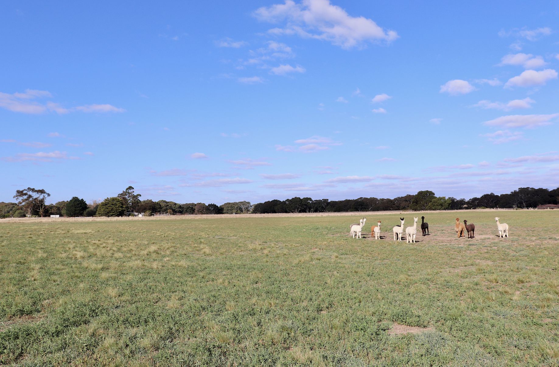 Lot 108, Terrier Road, Inverleigh