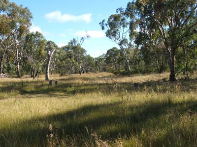 Glen Innes
