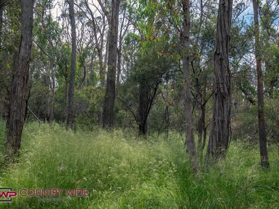 Lot 2, 1941 Emmaville Road, Glen Innes