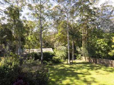 55 Kinabalu Drive, Tamborine Mountain