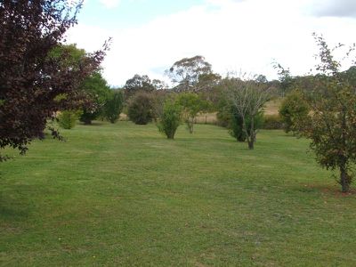 1 Meurant Street, Glen Innes