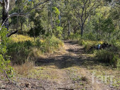 Canungra