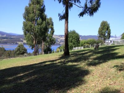 38 Chittys Road, Franklin