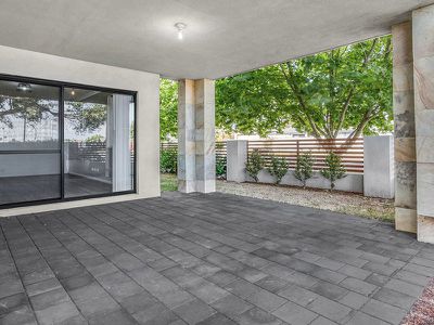 1 / 35 Brushfoot Boulevard, Success