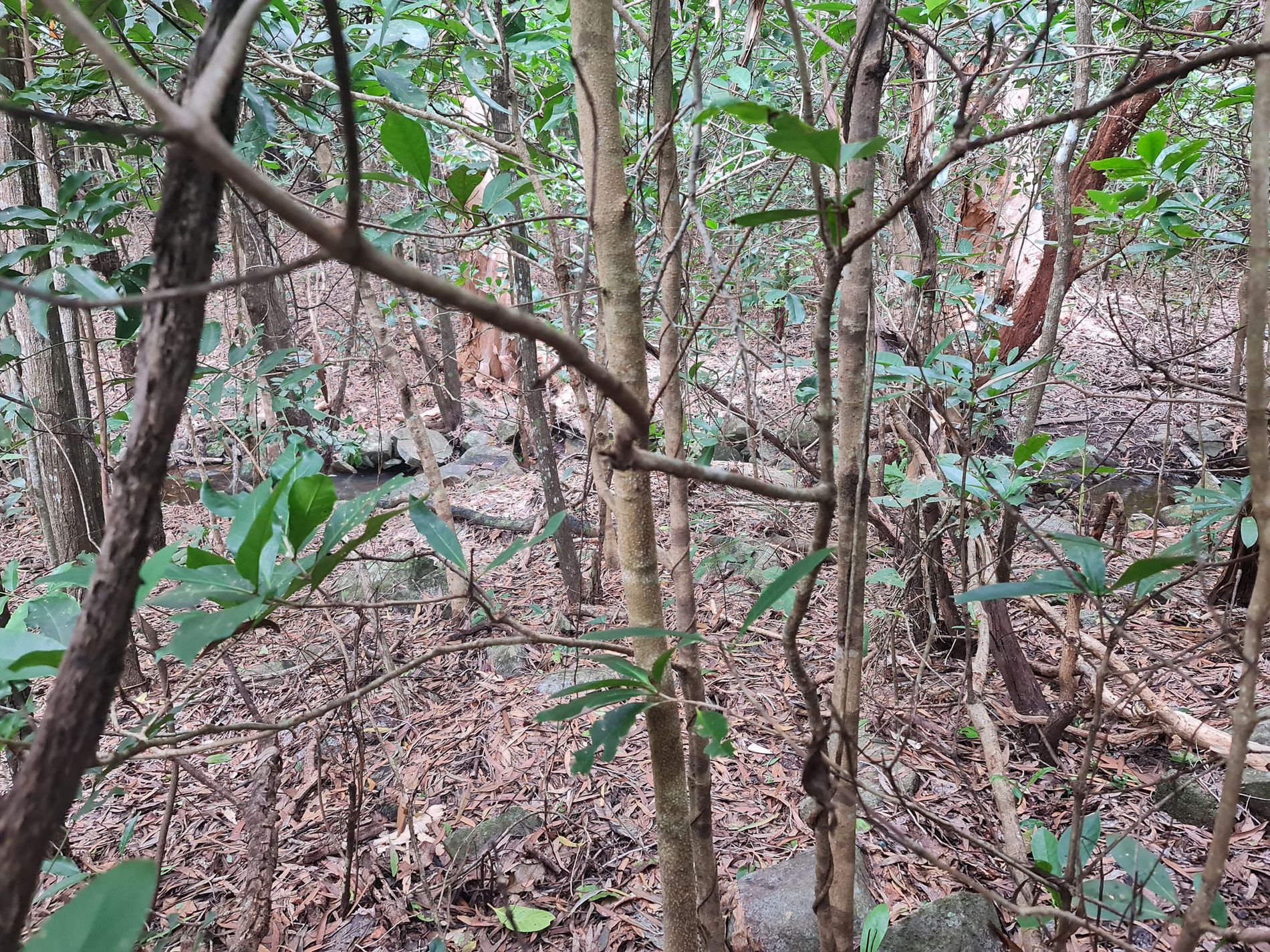 2 Parkinson Street, Cooktown