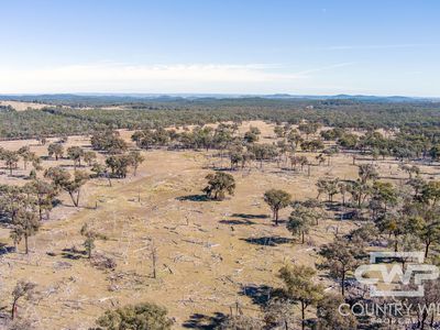Lot 16, 18, - Emmaville Rd, Emmaville