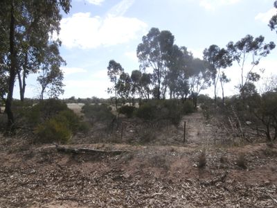 1 Abbott Road, Wedderburn Junction