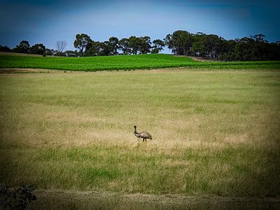 58 Drummonds Lane, Heathcote