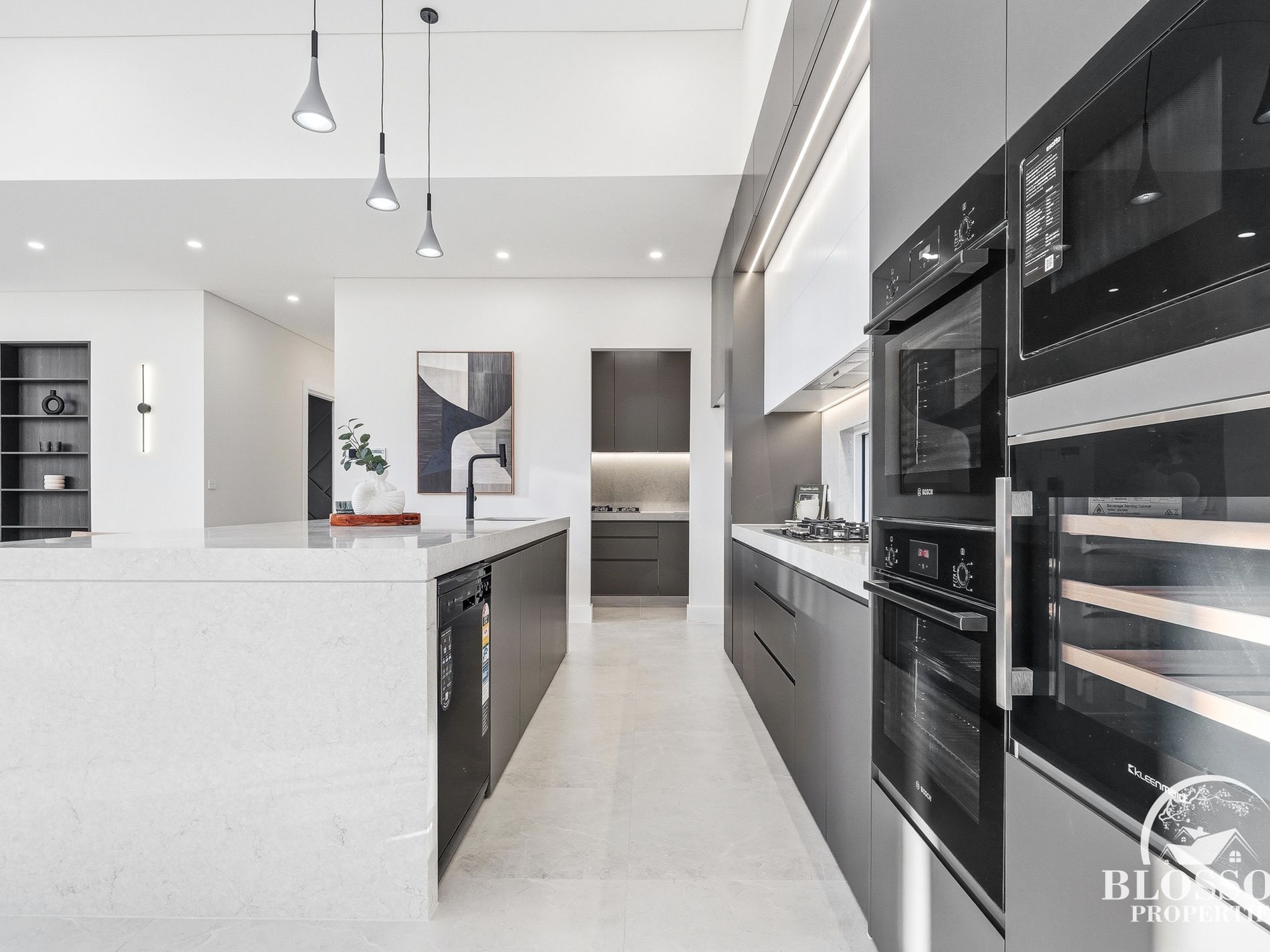 19 Hyssop Crescent, Marsden Park