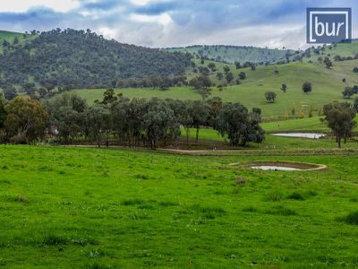 1242 Wymah Road, Bowna