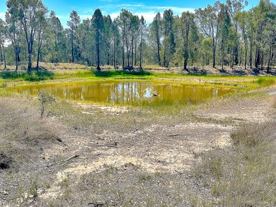 Tambar Springs