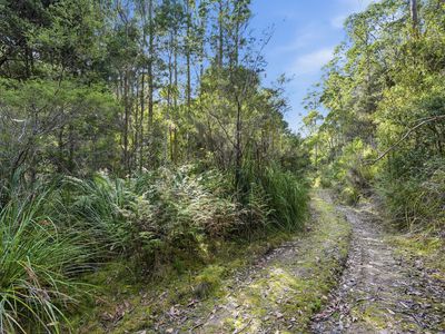 111 Underwoods Road, Nicholls Rivulet