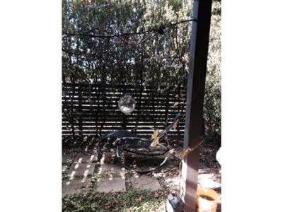 2 / 14 Osborne Avenue, North Geelong