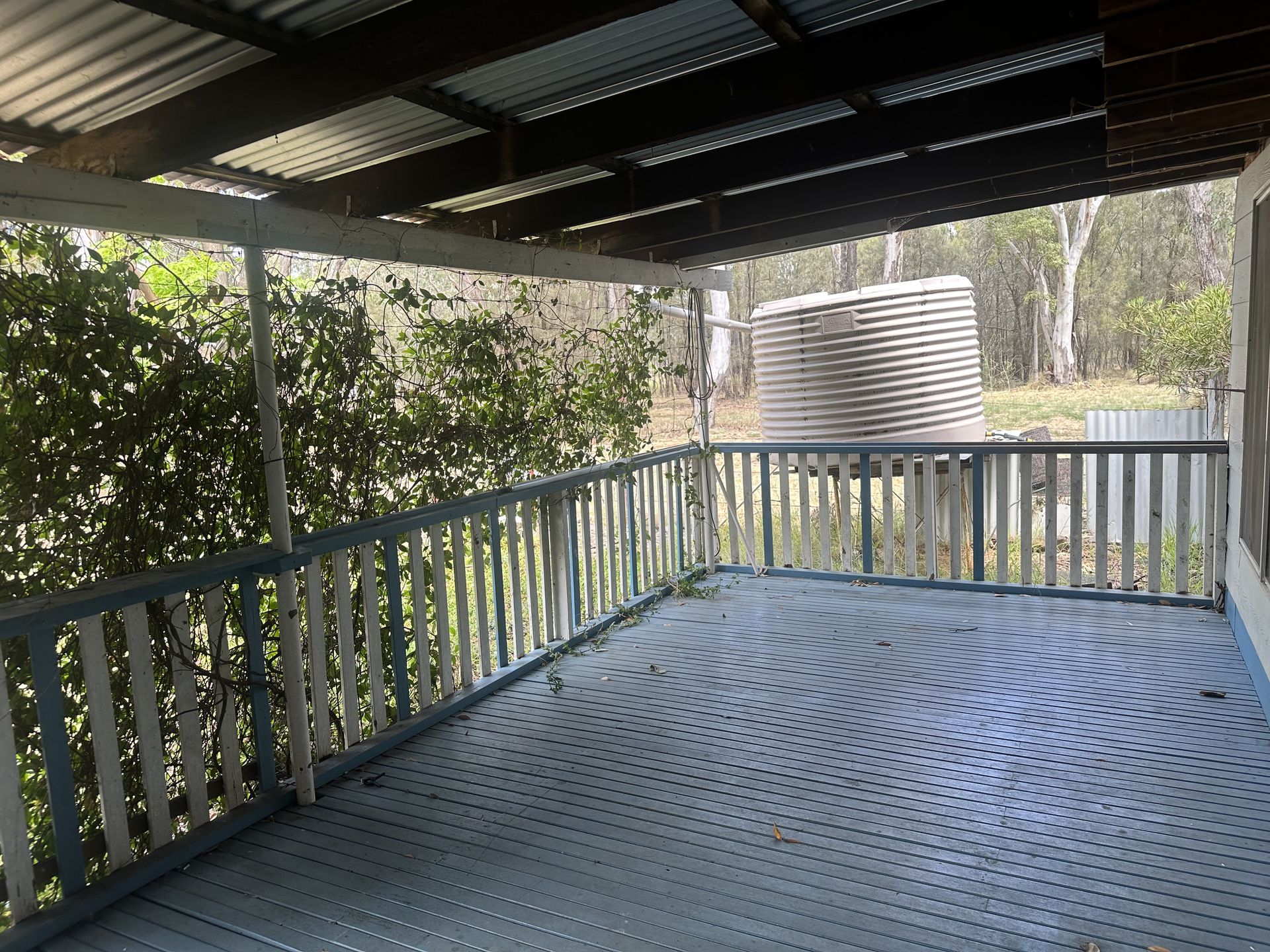 34 Bomera Street, Premer