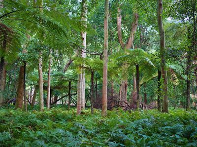 59B Burgess Track, Wallagaraugh, Genoa